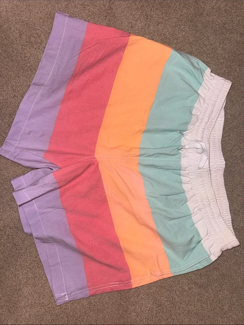 Chubbies Sherbet swim trunks XL